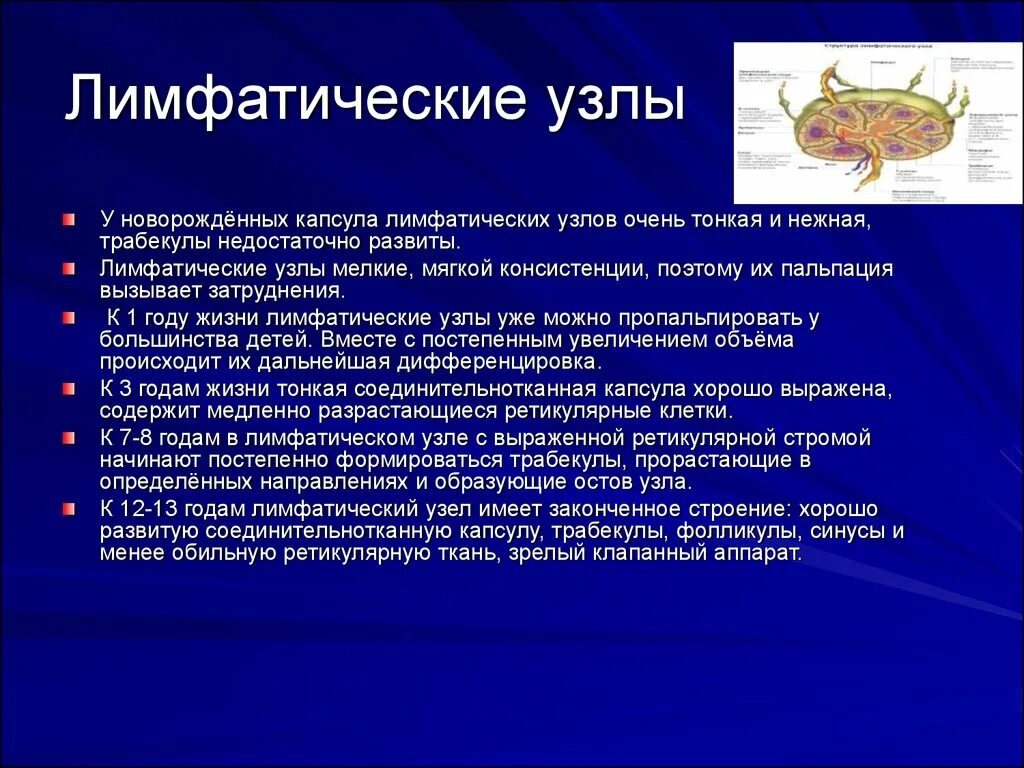 Лимфоузлы особенности. Лимфатические узлы анатомо-физиологическая характеристика. Лимфатические узлы у новорожденных. Афо лимфатических узлов у детей. Анатомо физиологические особенности лимфатических узлов.