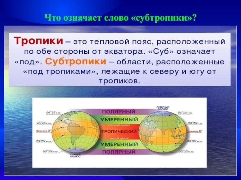 Что значит субтропики. Субтропики презентация 8 класс. Субтропики география 8 класс. Условия формирования субтропиков.