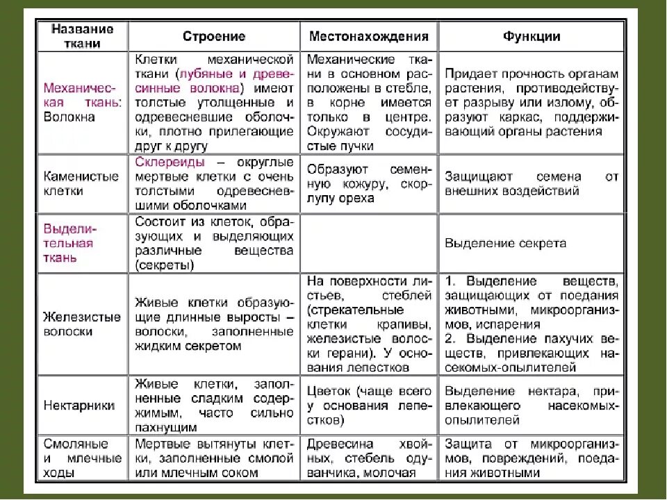 Таблица кожи биология