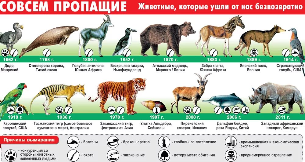 Больше всего живых организмов находится. Исчезающие виды животных. Список исчезающих животных. Вымирающие виды животных. Список всех вымерших животных.