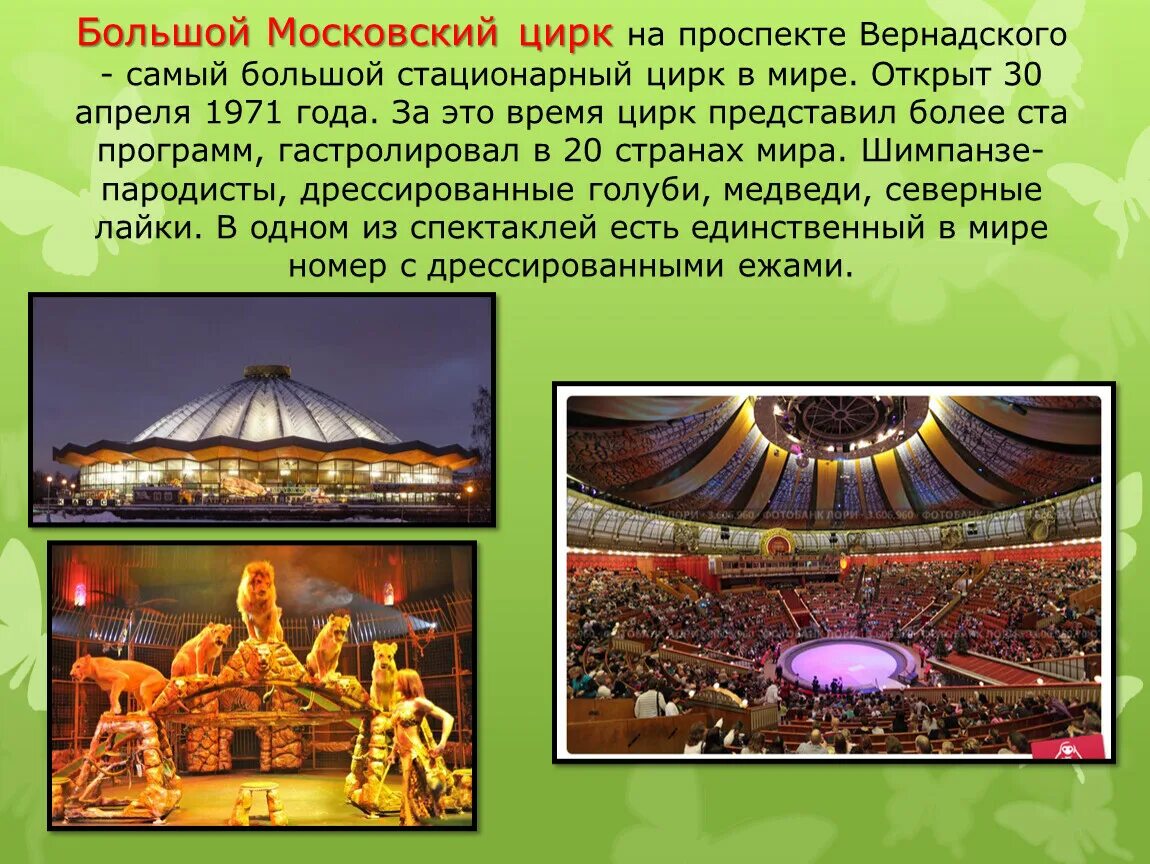 Московский цирк доклад