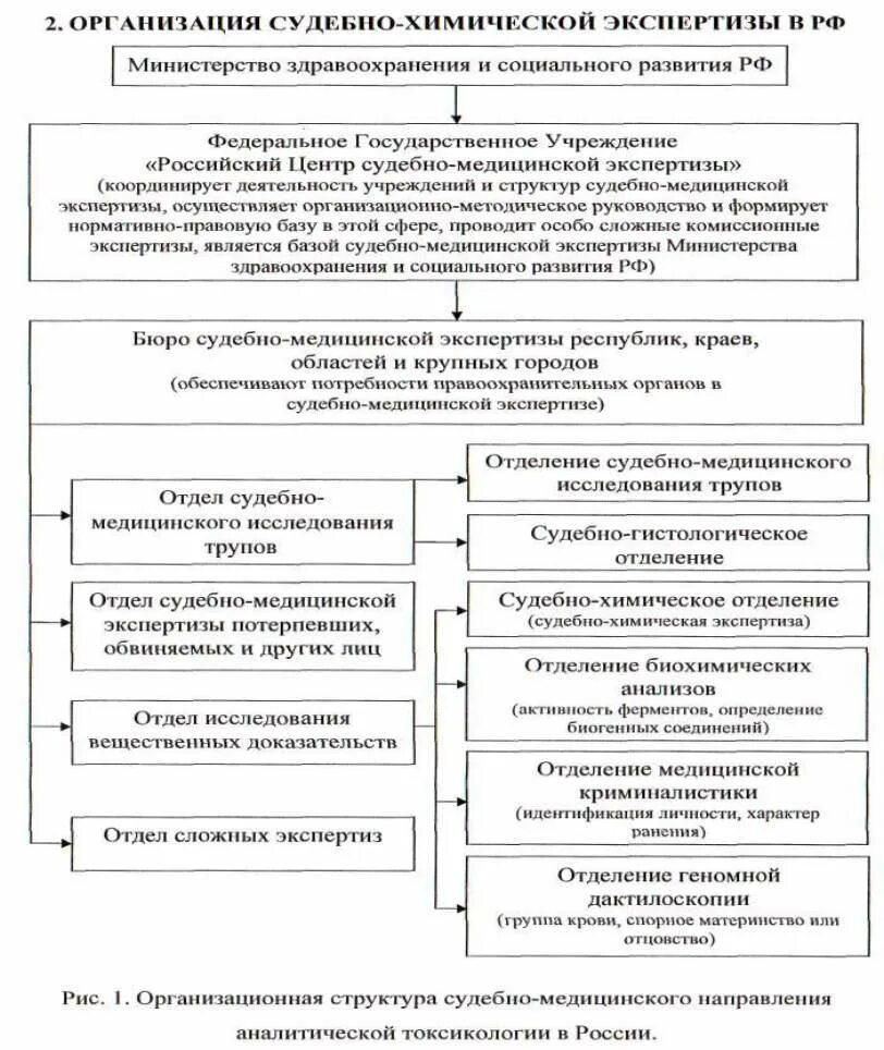 Функции экспертных учреждений