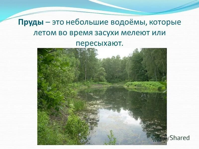 Водоём это определение. Водоем это определение. Озеро это определение. Описание водоема. Скопление стоячей воды.