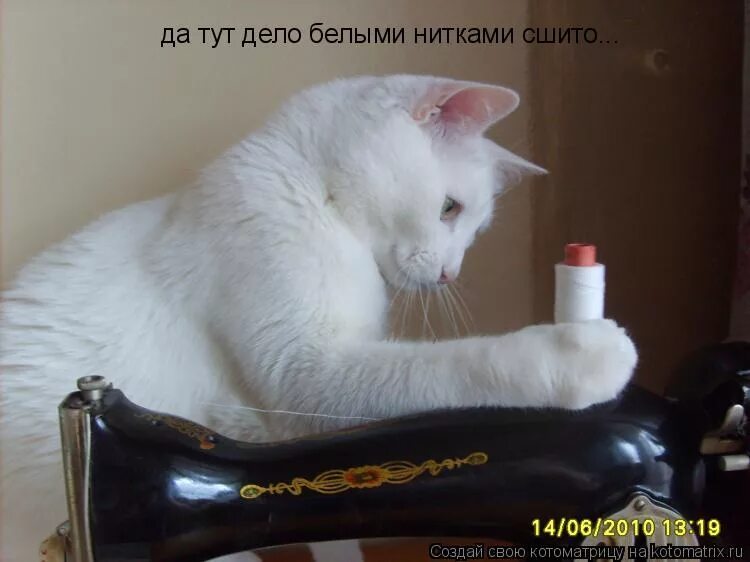 Катушка нитка черно белое. Шито белыми нитками рисунок. Выражение шито белыми нитками. Советские карикатуры на капитализм. Дело шито белыми нитками.