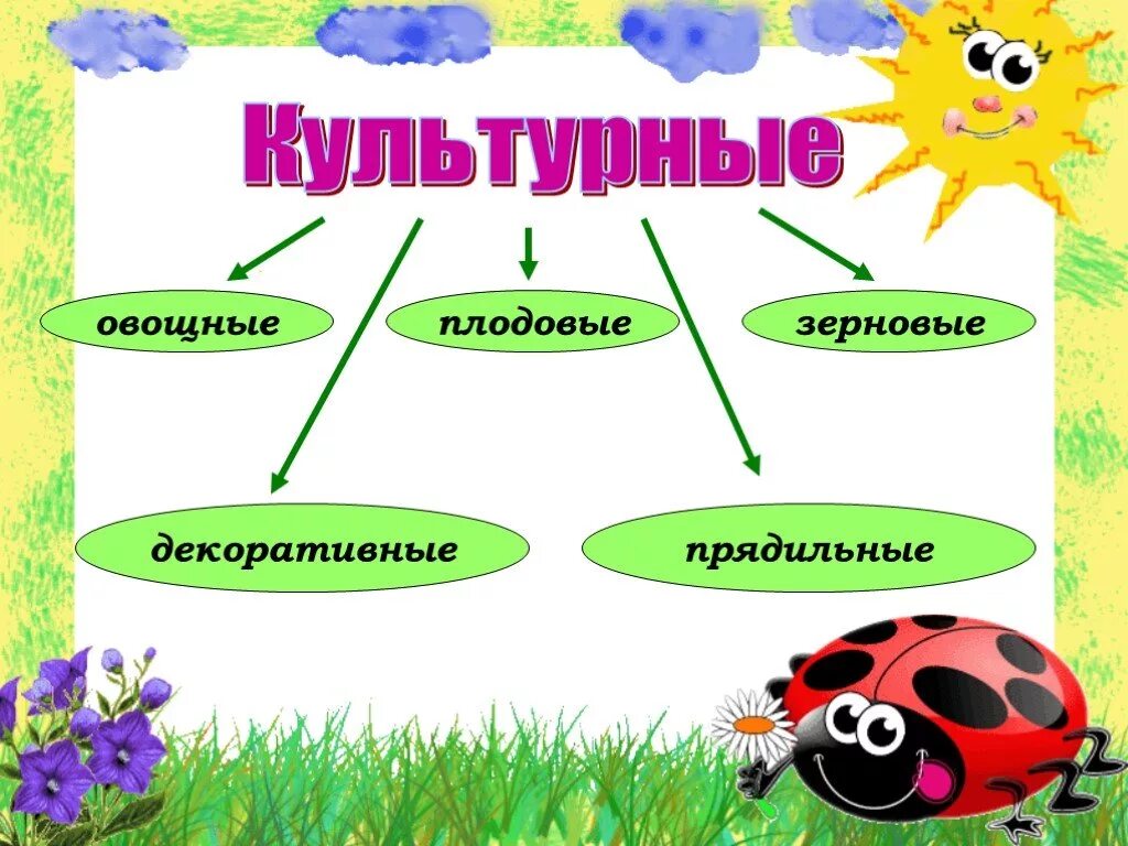 Окружающий мир 2 дикорастущие и культурные растения