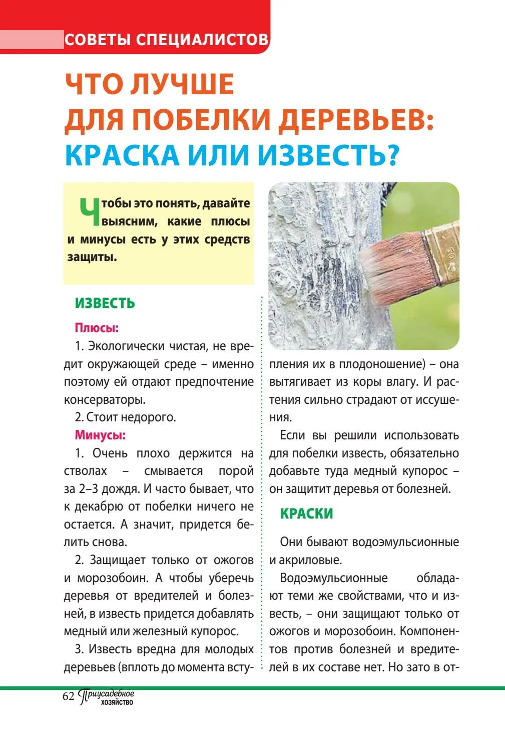 Побелка деревьев с медным купоросом. Побелка садовая с медным купоросом. известь для побелки деревьев. побелка с медным купоросом деревьев. побелка для деревьев состав.