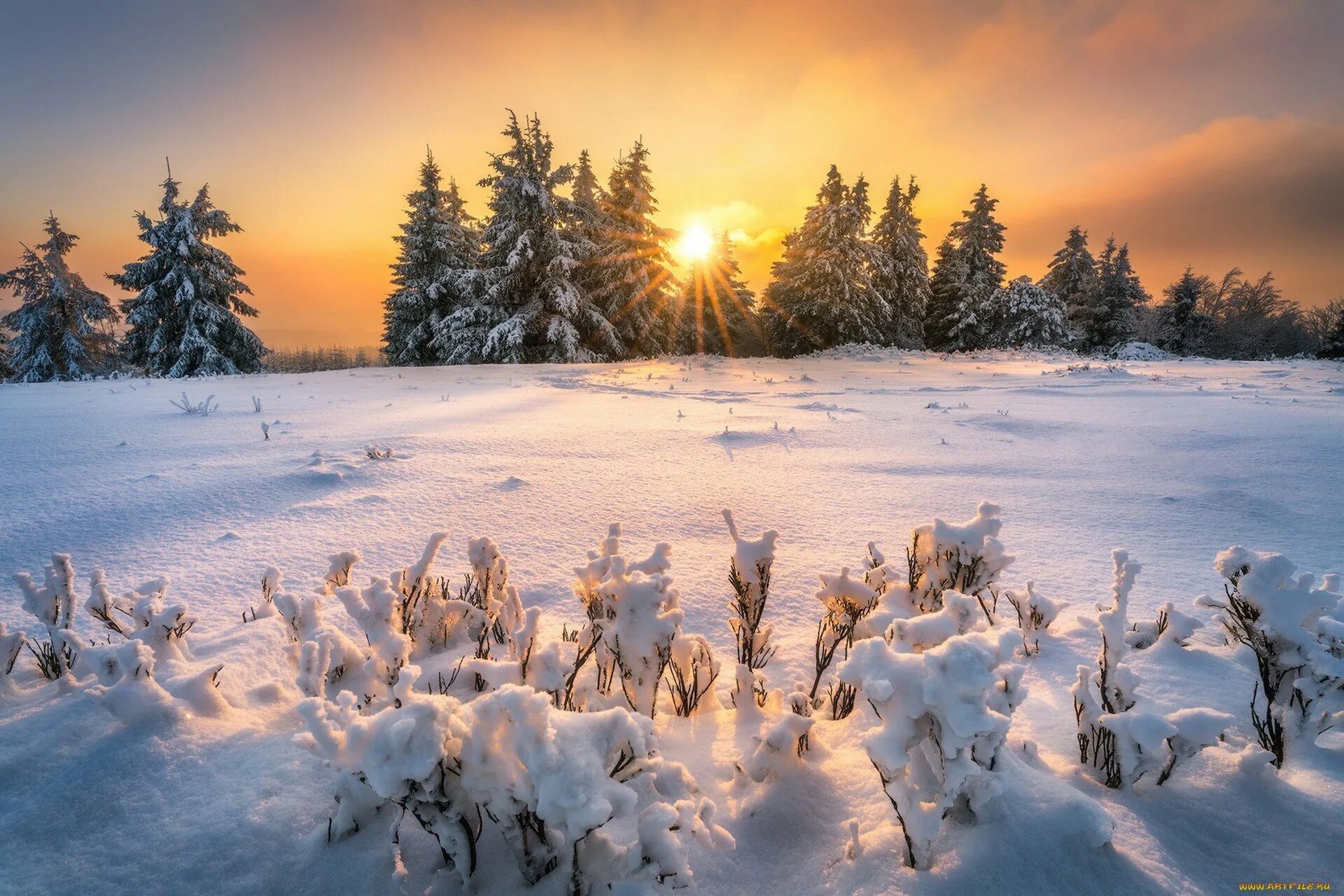 Зимний пейзаж. Солнечный зимний день. Зимняя природа. Зимнее утро. Is winter beautiful