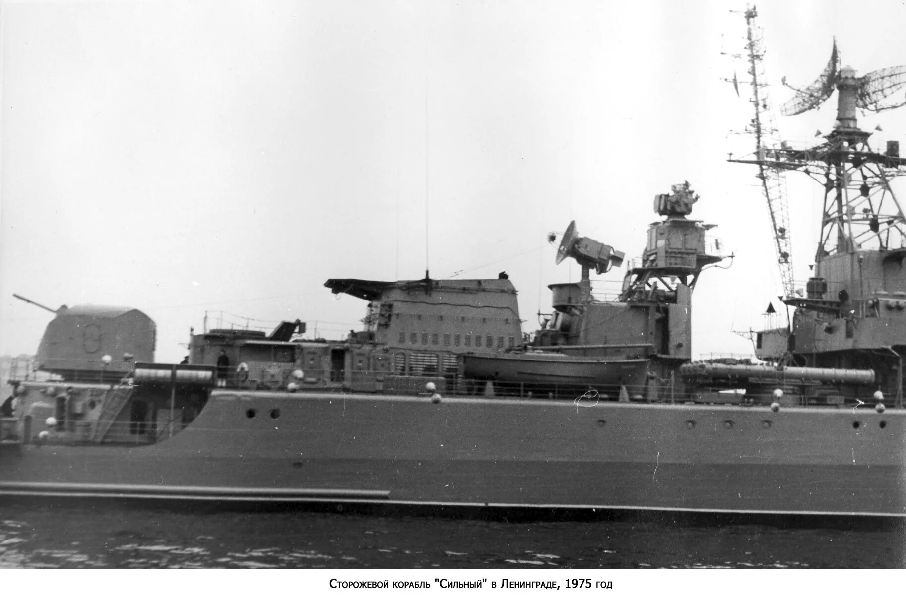 Скр 1135м резкий. Скр бессменный 933. Скр сторожевой корабль 663. Скр пить листы. Скр-71 сторожевой корабль 1956.