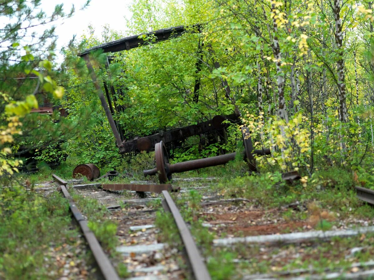 Стройка 501 503 мёртвая дорога. Трансполярная магистраль. Трансполярная железная дорога. Мёртвая дорога Салехард Игарка.