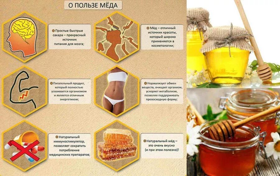 Польза меда. Чем полезен мед. Полезные свойства меда. Продукты пчеловодства для человека.