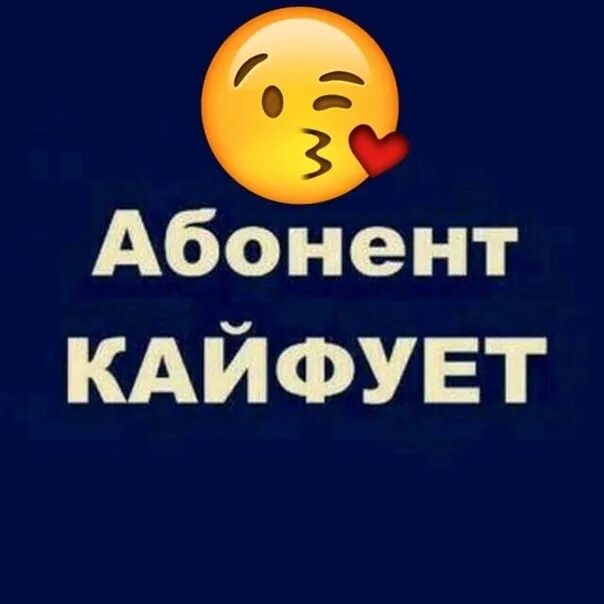 Абонент кайфует. Абонент временно кайфует. Пользователь временно фестивалит открытки. Этот абонент кайфует. Картинка кайфую