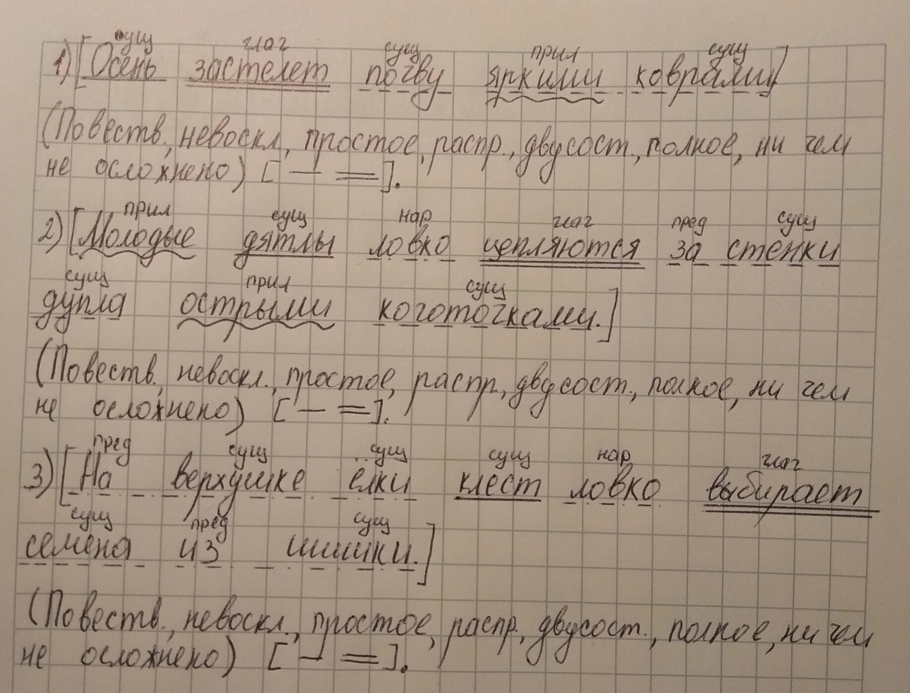 Поляну большими скачками пересекала белка 4. Разобрать предложение на верхушке дерева висели гроздья румяных ягод. На верхушке дерева висели гроздья румяных ягод синтаксический разбор. На верхушке дерева висели гроздья румяных ягод разбор предложения.