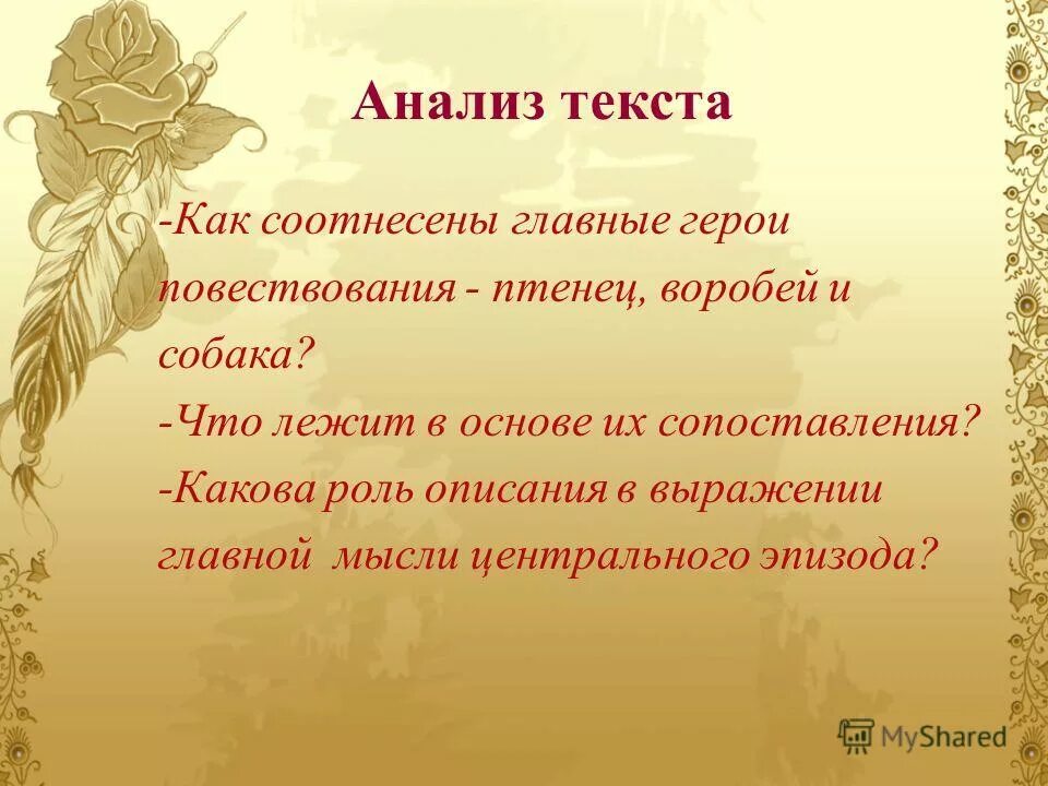 история входит в цикл