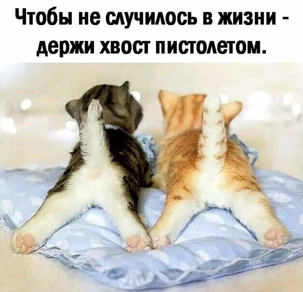 Ладно буду держать