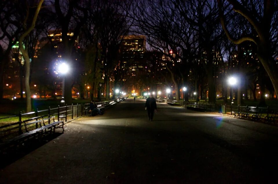 Парковое освещение. Nights park. Nights park. Stealing night park. Nights park.