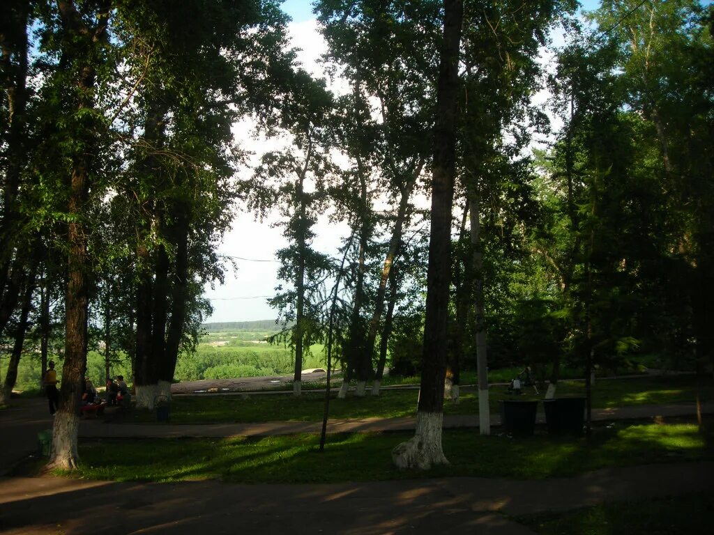 Арт объект вуктыл. Погода в сыктывкаре. Цгмс эжва. Коми цгмс сыктывкар. Сыктывкар климат.