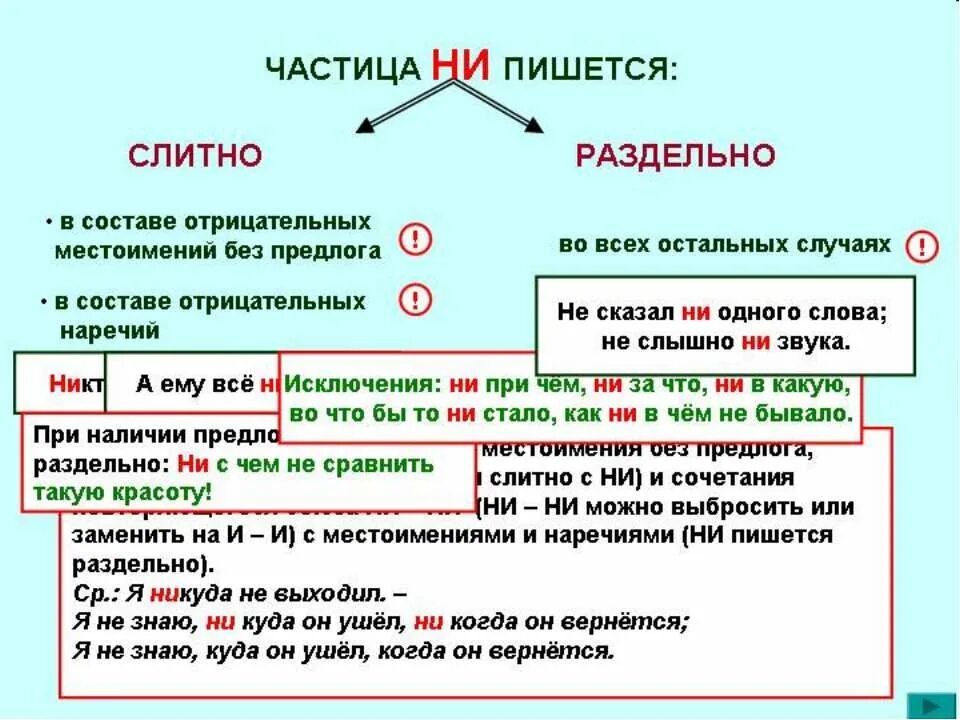 Не обладаете ни тем ни. Не пишется слитно или раздельно. Частица как часть речи правописание частиц. Частицы пишутся раздельно или слитно. Как писать чтобы слитно или раздельно.