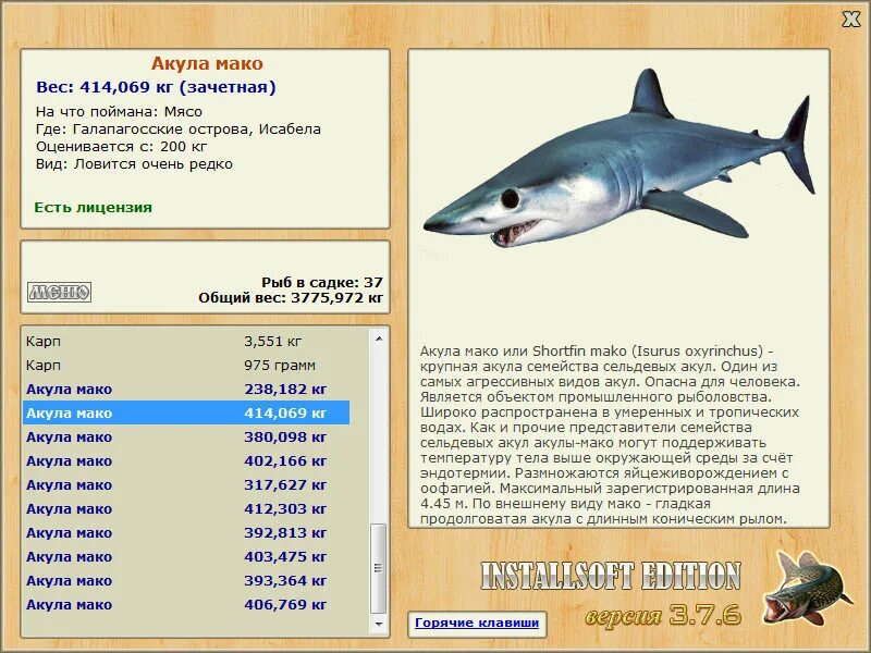 Мако акула опасна для человека. Акула мако русская рыбалка. Акула мако размер. Акула Карп. Сельдевая акула и мако отличия.