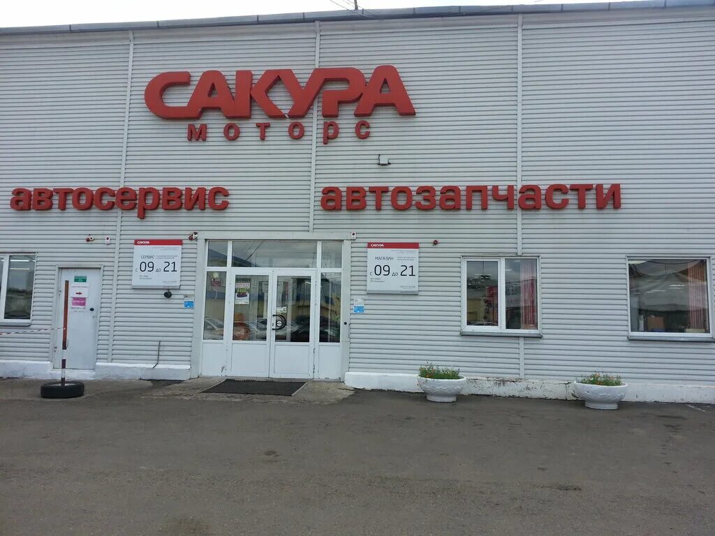 Красноярская сакура. Красноярск улица Академика Вавилова 1г/1 Сакура Моторс. Красноярск улица Вавилова 1г. Сакура Моторс Красноярск сервис. Автозапчасти Сакура Моторс на Вавилова Красноярск.