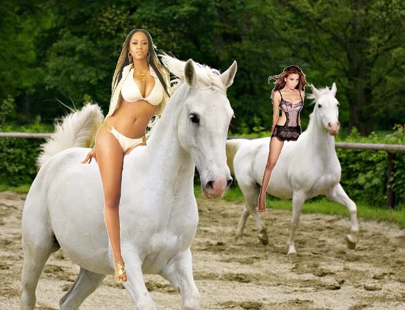 Картер кони видео. Женщина на лошади. Девушка на коне. Две девахи на лошади. Белая лошадь и женщина.