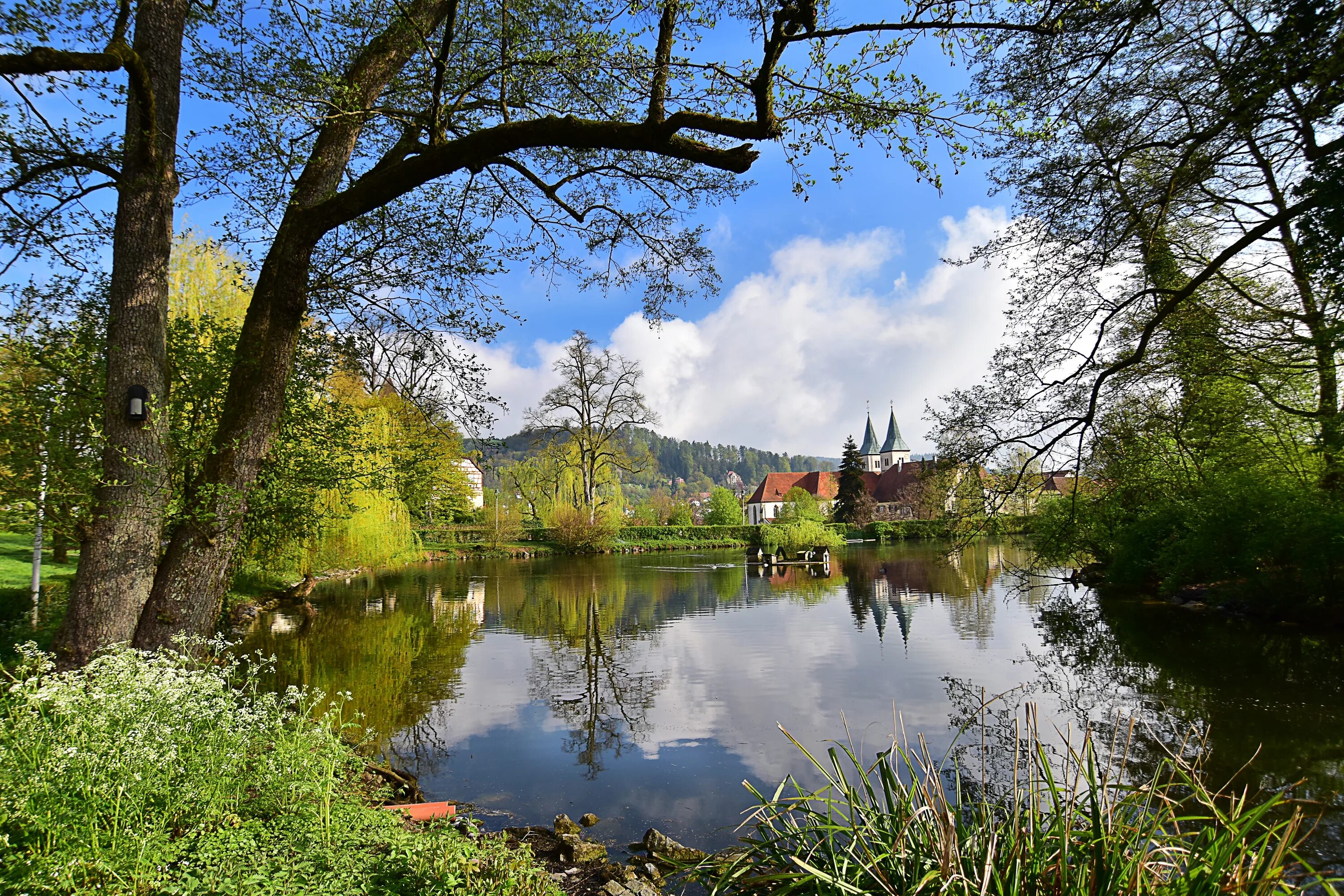 Сады реки озера. Парк Лейк-Форест. Пейзажный Луговой парк Германия озеро. Поляна у озера. Поляна у реки.