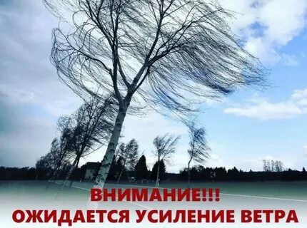 День северный ветер
