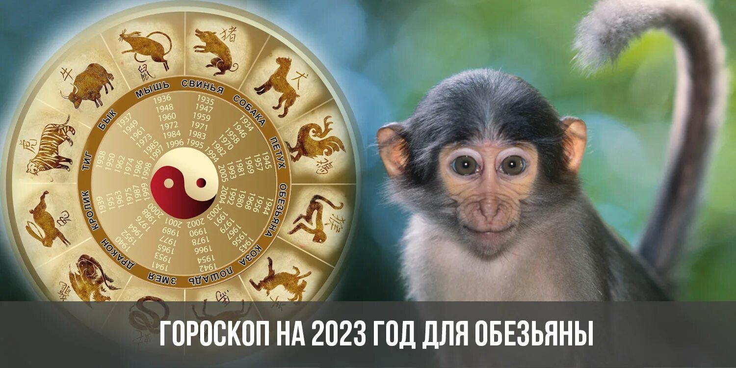 Зверь 2023 года. Год животных 2023. 2023год Кокова животного. Гороскоп на 2023. Обезьяна гороскоп.