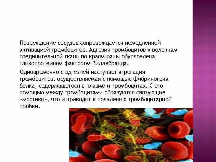 Адгезия тромбоцитов. Фактор фон Виллебранда + тромбоцит. Адгезия тромбоцитов при повреждении сосуда. Адгезия и агрегация тромбоцитов.