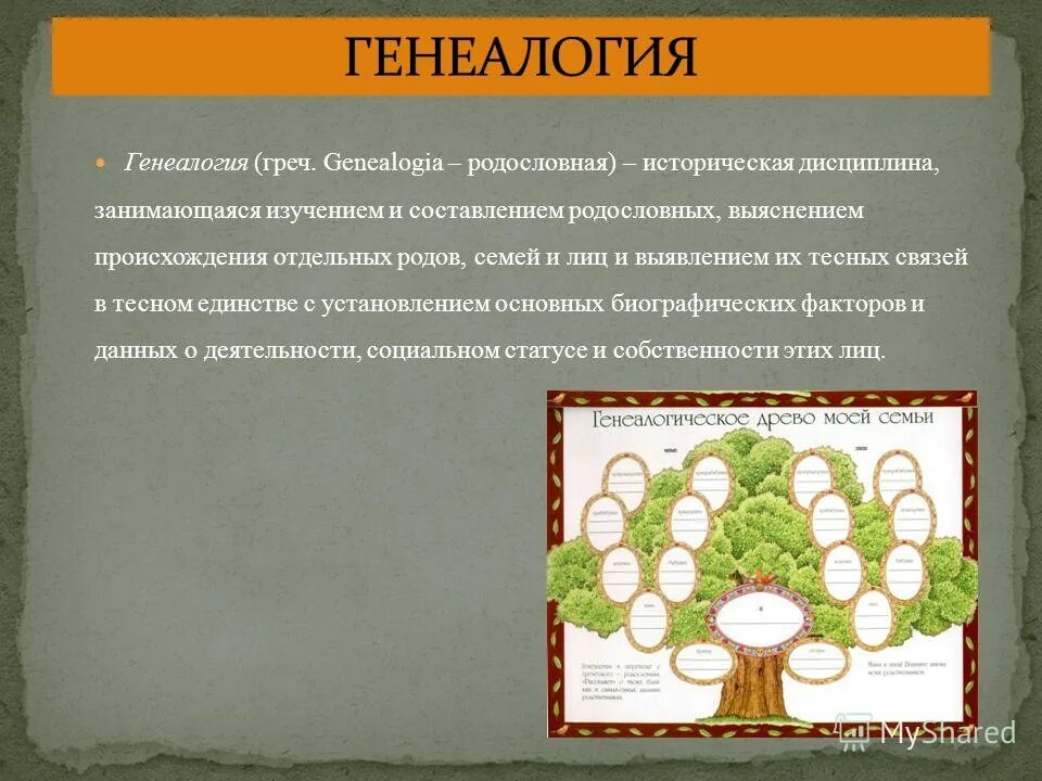 Отдельный происхождение. Отдельный происхождение. Причины формирования рас человека. Отдельный происхождение. Термины по генеалогии.