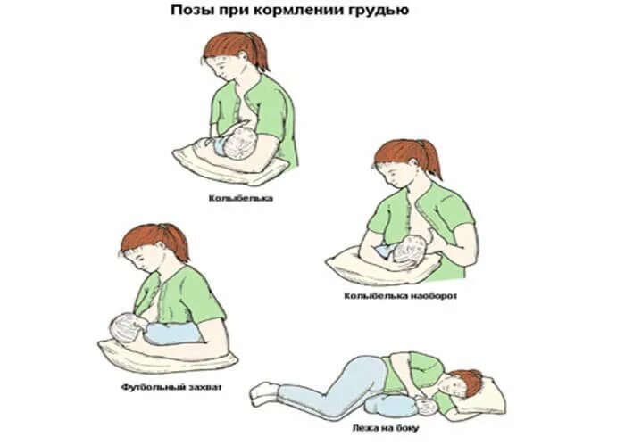 Положение ребенка при кормлении. Позы для кормления. позы для кормления грудью. позы для кормления новорожденного. позы для кормления грудного ребенка.