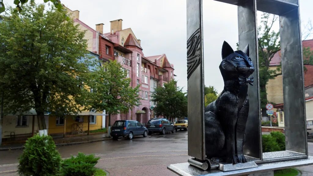 Памятник зеленоградским котам Зеленоградска. Зеленоградск памятник коту. Зеленоградск Калининградской памятник коту. Город котов Зеленоградск памятники.