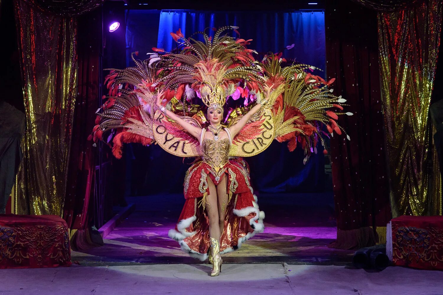 Животные королевского цирка гии эрадзе гиббоны. Королевский цирк гии эрадзе животные. Чей цирк. Королевское шоу гии эрадзе. Цирк гии эрадзе екатеринбург.