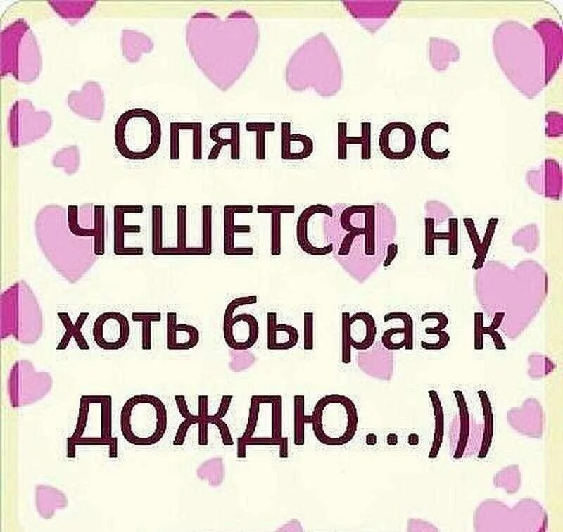 Чешется нос примета у мужчин. К чему чешется нос. Нос чешется прикол. Нос чешется картинки.