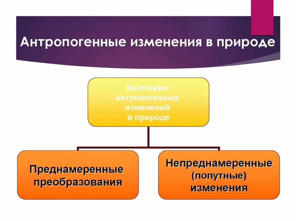 Антропогенное преобразование