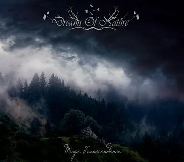 Dream of the beginning