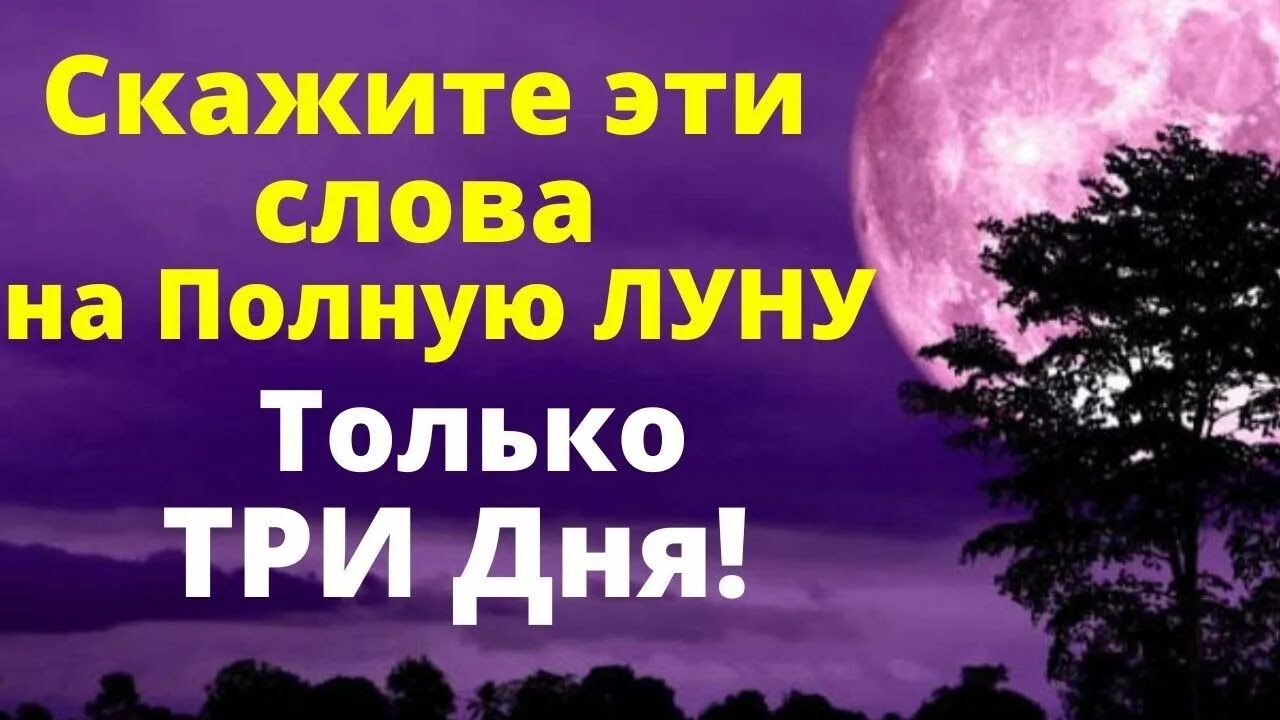 Полный лунный календарь для заговора 2025 г Продажа квартиры по лунному календарю в 2022 году Юристы Онлайн