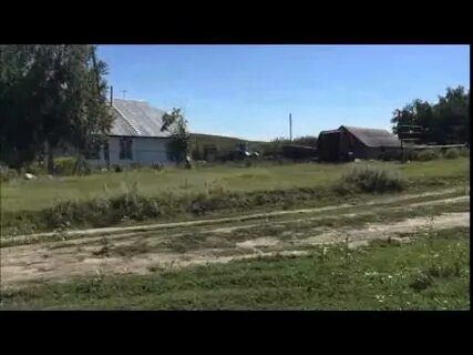 Погода с березовка алтайский край