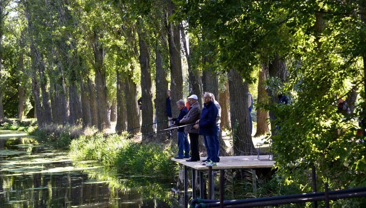 Агротуристический парк «Корольков сад». Корольков сад Саратов. Агроцентр Саратов Корольков сад. Агротуристический парк «Корольков сад» Саратов Кумысная Поляна.