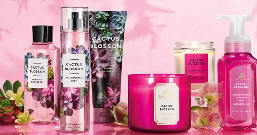 Blossom body. Cactus Blossom свеча. Blossom косметика. Cactus Blossom аромат. Home Fragrance свеча Cactus Blossom.