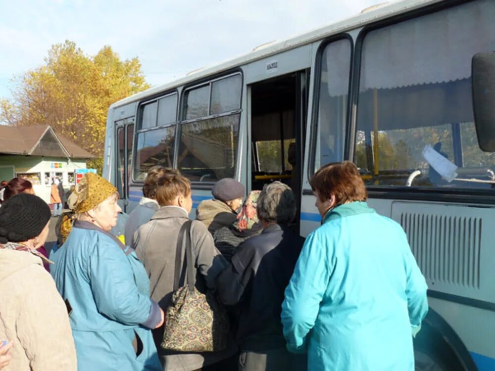 Дачный автобус. Сельский автобус. Автобус на дачу. Дачники садятся в автобус. Пригородные перевозки автобусами