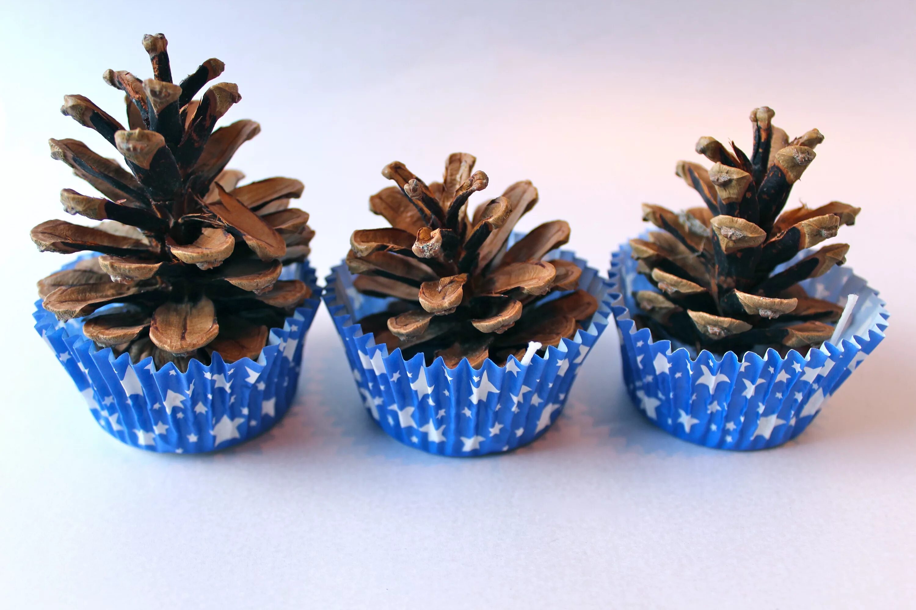 Шишки сосны поделки. Поделки из шишек. Шишки сосны поделки. Поделка из шишки. Композиция из сосновых шишек.