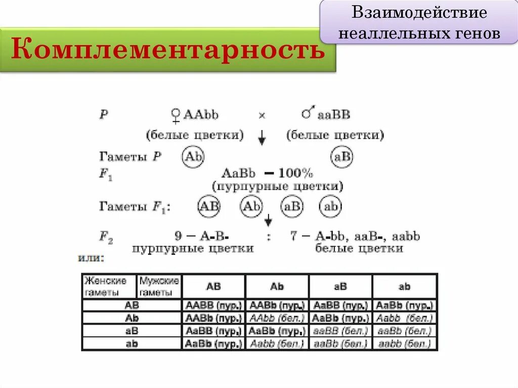 Ген подавляемый другим аллельным геном. Схема комплементарного взаимодействия генов. Схема типы взаимодействия аллельных генов. Взаимодействие неаллельных генов схема. Взаимодействие между генами таблица.