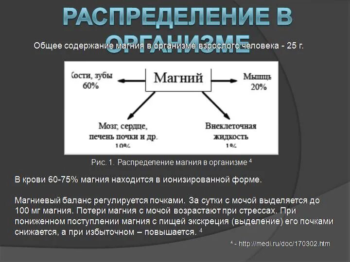 Повышенный уровень магния. Обмен магния в организме. Общая схема магний. Магний биохимия. Магний избыток и недостаток.