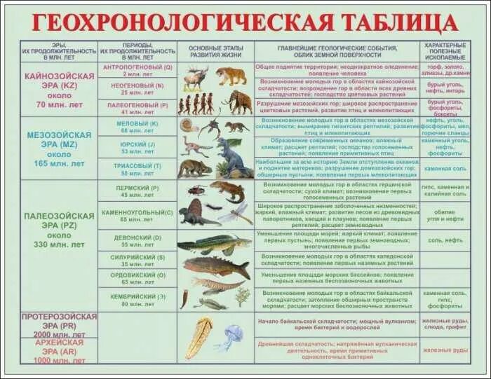 Эры в биологии 9 класс