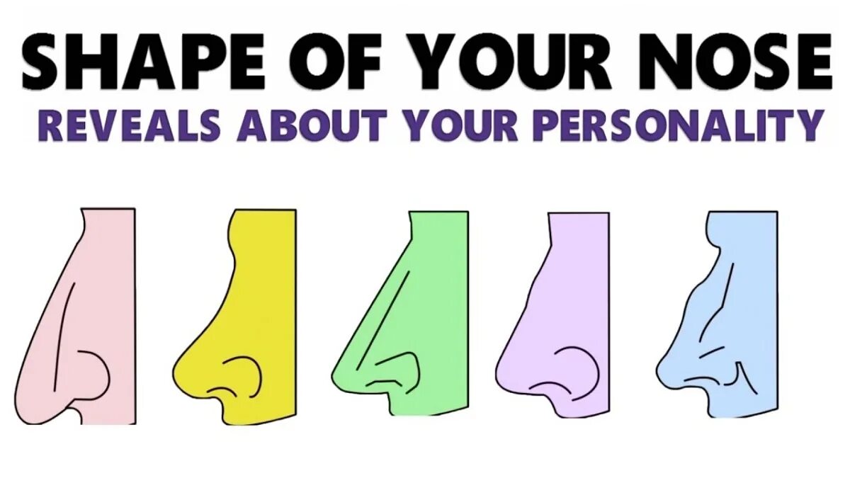 Nose shapes. Nose u shape. joke about nose.