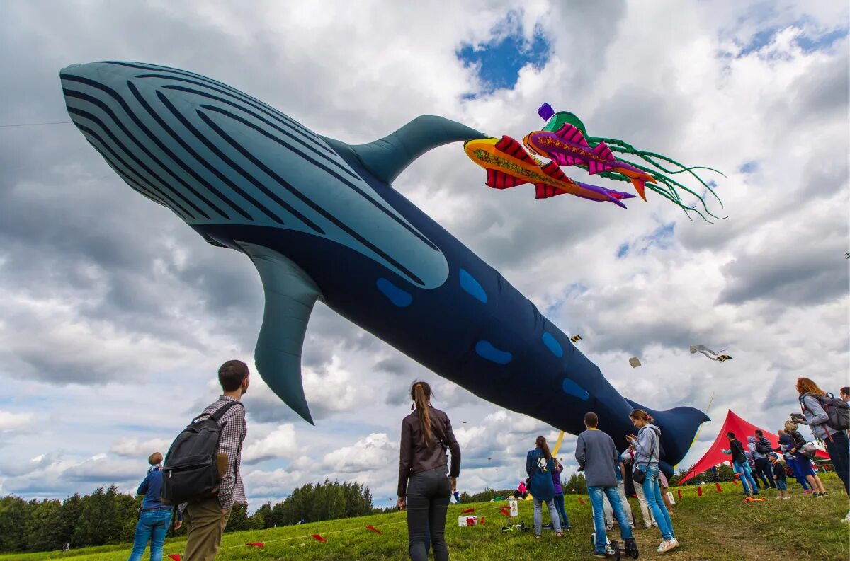 Пестрое небо. Пестрое небо кит. Фестиваль воздушных змеев в Царицыно. Кит в Царицыно фестиваль змеев.