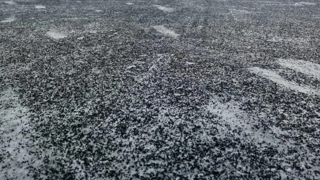 Черный снег. Черный снег в Челябинске. Черный снег фото. Темиртау черный снег. Бывает черный снег