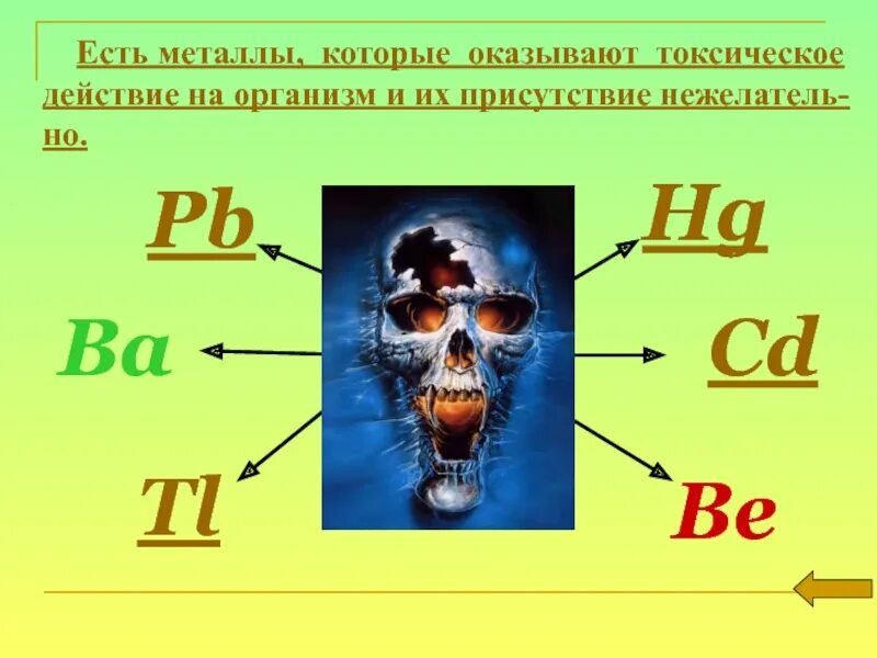 Металлы в человеческом организме. Тяжелые металлы в организме человека. Биологическая роль металлов в организме. Элементы металлы в организме человека.