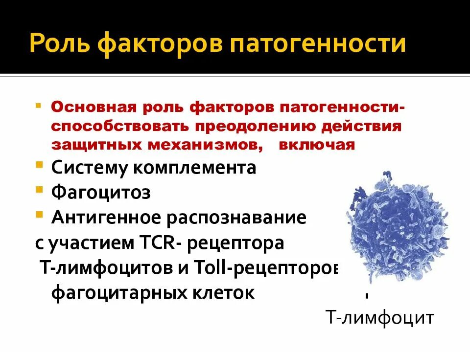 Факторы патогенности. Роль факторов патогенности микроорганизмов.. Факторы патогенности вирусов. Инфекционный процесс факторы патогенности микроорганизмов. Сп группа патогенности