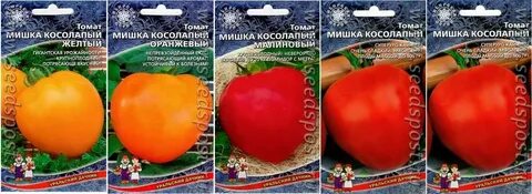 Томат мишка косолапый малиновый
